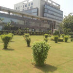 Pre Rented Property in Gurgaon - Splendor Trade Tower